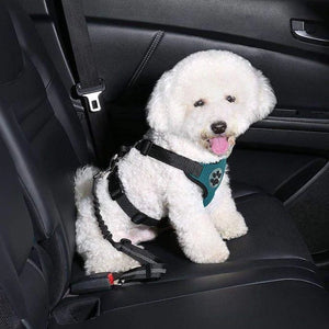 BarkBelt™ Pet Seat Belt - FREE TODAY