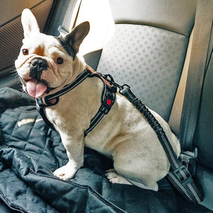 BarkBelt™ Pet Seat Belt - FREE TODAY